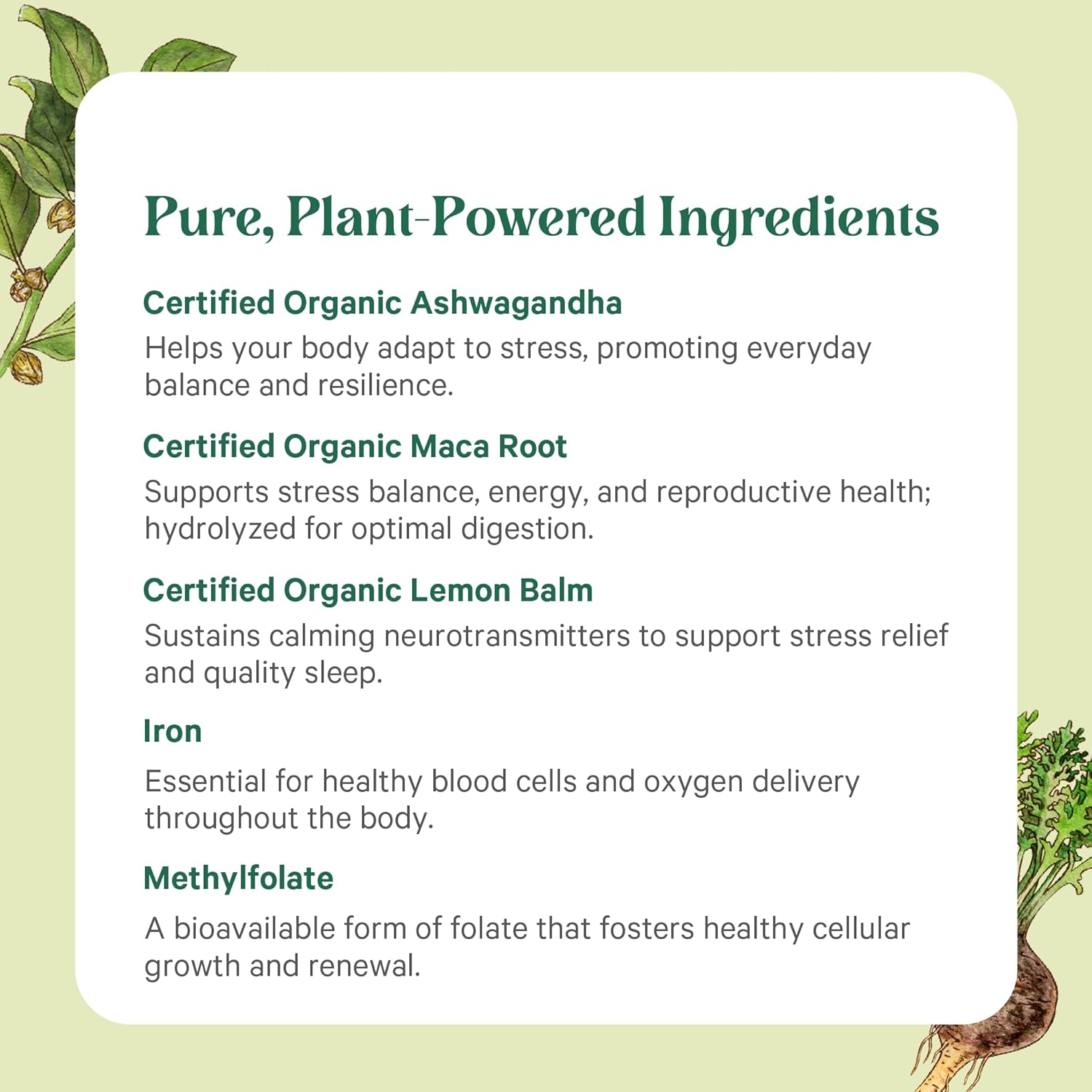 PURE SYNERGY Vita·Min·Balance - Multivitamínico para Mujeres con Hierro (60 Comprimidos)
