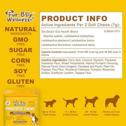 Probióticos Vet Strength para Perros - – Fortalecimiento del sistema inmunitario: Aproximadamente el 70% del – Image 2