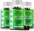 Gominolas de Irish Sea Moss con Fucus y Raíz de Bardana - Vitamatic - 180 Gominolas (3 Envases de 60)