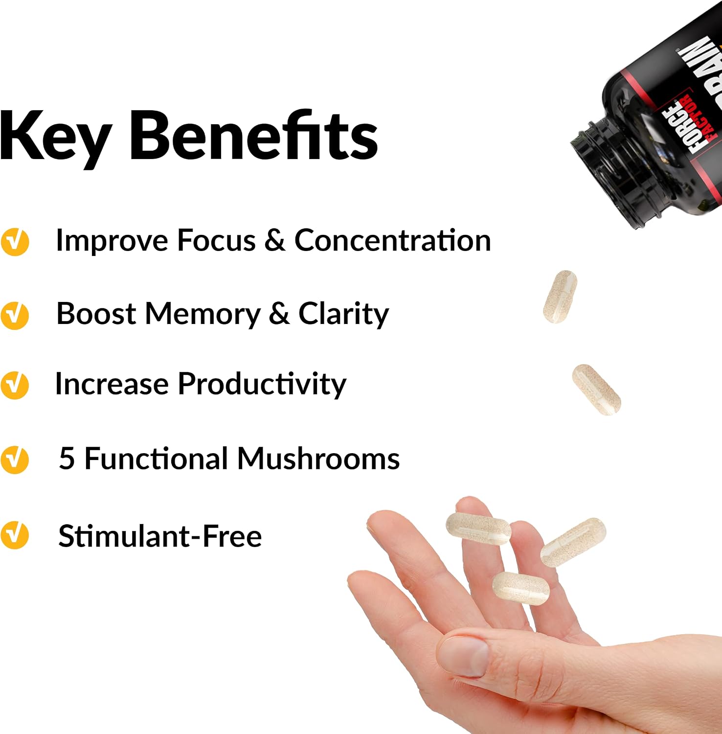 Force Factor Forebrain Focus - Potenciador Cerebral, 60 Cápsulas