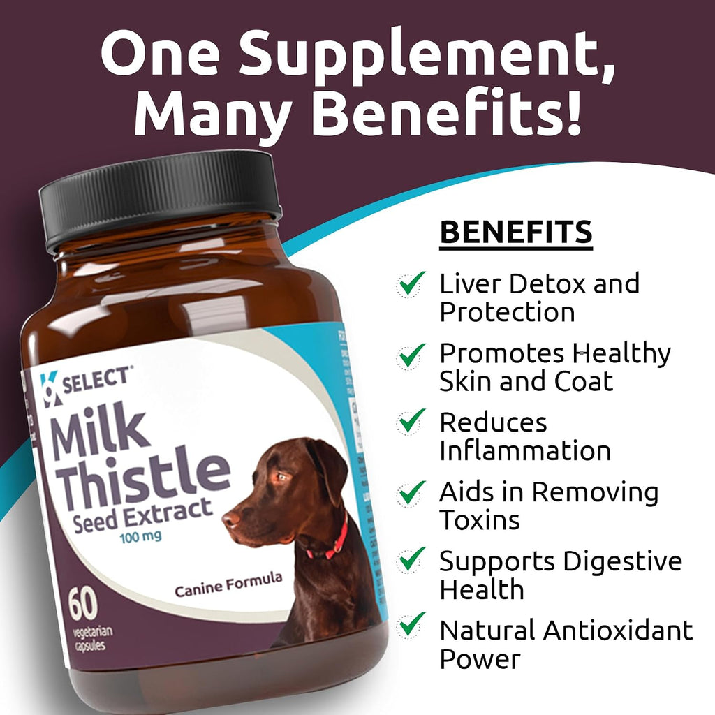 Milk Thistle for Dogs, 100mg - 60 Vegetable Capsules - Canine Liver Supplement