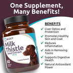 Milk Thistle for Dogs, 100mg - 60 Vegetable Capsules - Canine Liver Supplement