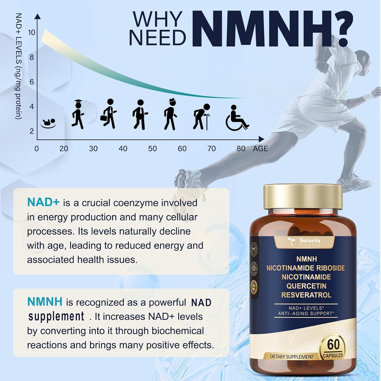 Totaria NMNH (Dihidronicotinamida Mononucleótido) – Alternativa NAD+ con Vitamina B3 y Quercetina