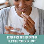 Cápsulas de Polen de Pino 500mg (Pinus Ponderosa) - Recolectado Salvaje en California - Grado Olímpico - Orgánico, No-GMO, Sin Rellenos - 40 Cápsulas