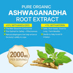 Ashwagandha Gummies 2000mg Orgánico Sin Azúcar - Vitamina D3, B12 y Cúrcuma - 120 Gominolas