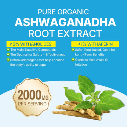 Ashwagandha Gummies 2000mg Orgánico Sin – Protección antioxidante: La cúrcuma, rica en curcumina, ayuda a proteger – Image 4