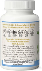 Eclectic Herb - Organic Oat Capsules (Avena Sativa) - 90 capsules of 375 mg
