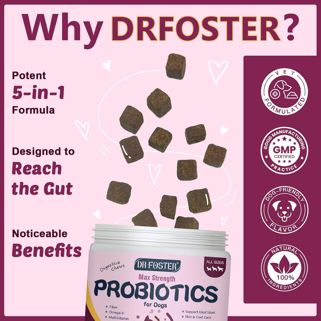 Probióticos para Perros con 6 Mil Millones UFC, Prebióticos y Enzimas Digestivas, Calabaza y Omega-3, 120 Masticables Suaves