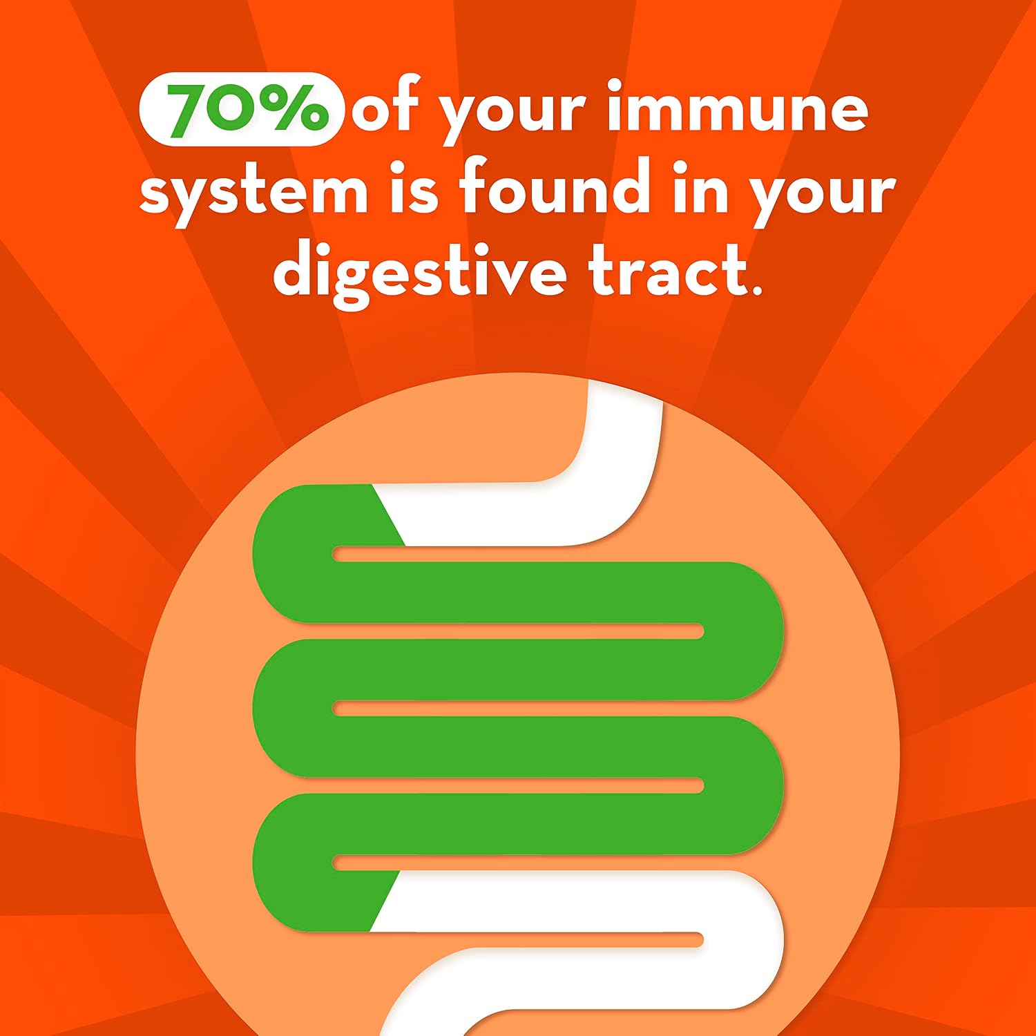 Align Gut Health & Immunity Probiotic, Apoyo Digestivo e Inmunitario Diario, 14 Cápsulas