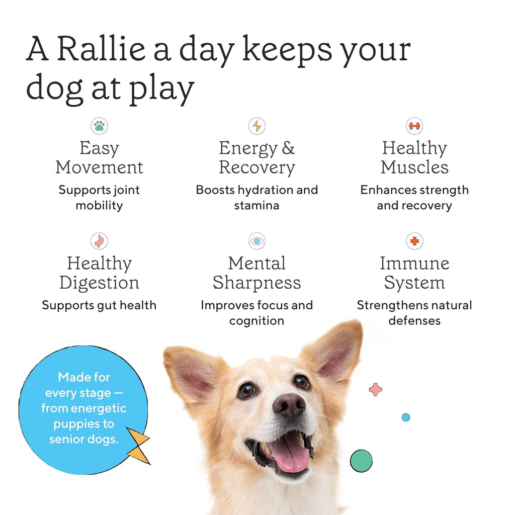 Rallie Agua Hidrogenada para Perros Sabor Manzana y Bacon - Complemento Líquido Multivitamínico con Electrolitos, Glucosamina y Vitaminas B, 6 x 500 ml