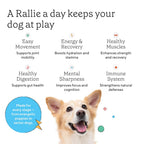 Rallie Agua Hidrogenada para Perros Sabor Manzana y Bacon - Complemento Líquido Multivitamínico con Electrolitos, Glucosamina y Vitaminas B, 6 x 500 ml