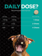 Horbaach Probióticos para Perros y Gatos | 120 Comprimidos Masticables | Salud Digestiva | 14 Cepas Probióticas | Sabor a Ternera | River & RULA