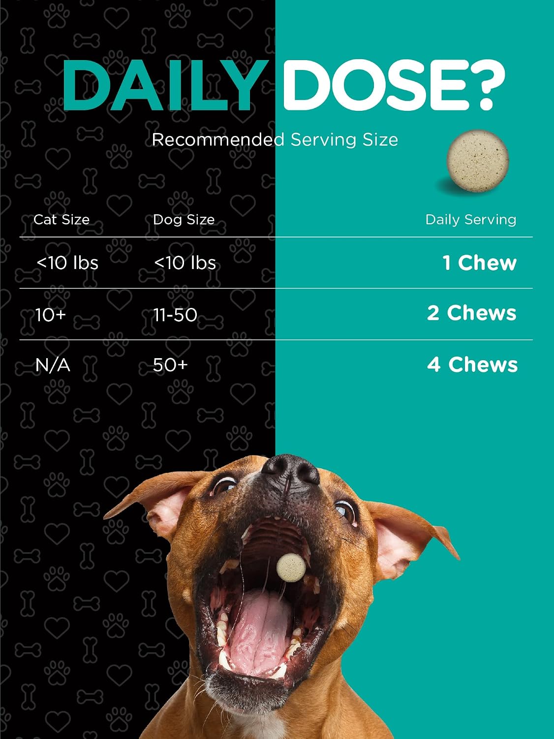 Horbaach Probióticos para Perros y Gatos | 120 Comprimidos Masticables | Salud Digestiva | 14 Cepas Probióticas | Sabor a Ternera | River & RULA