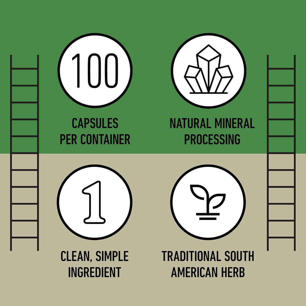 Chanca Piedra Orgánica 500mg – Cápsulas de Phyllanthus Niruri – Complemento Herbal Vegano