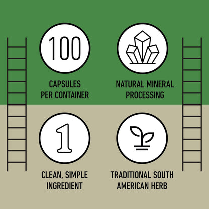 Chanca Piedra Orgánica 500mg – Cápsulas de Phyllanthus Niruri – Complemento Herbal Vegano – Image 8
