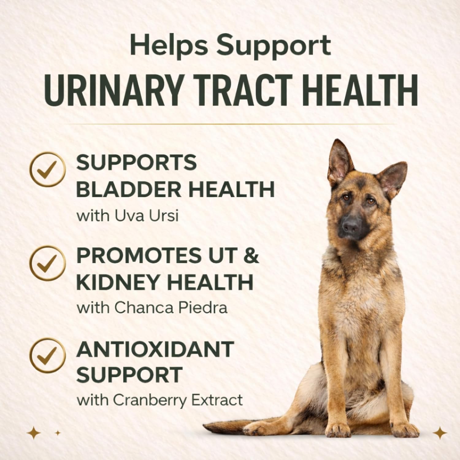 VetriScience Quick Action UT Health - Suplemento urinario para perros - 90 tabletas masticables con sabor ahumado