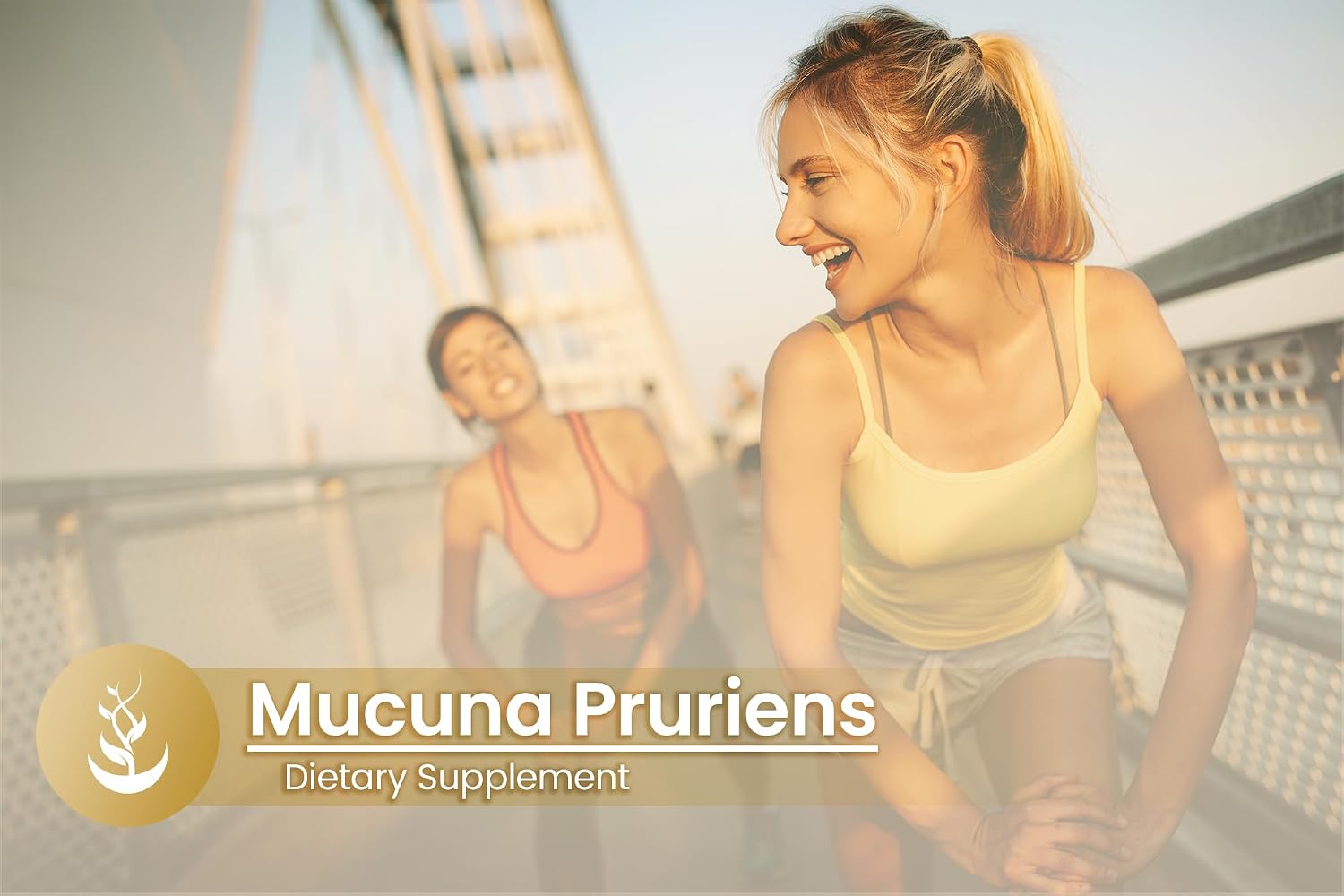 PURE ORIGINAL INGREDIENTS Mucuna Pruriens, 100 Cápsulas, Siempre Puro, Sin Aditivos ni Rellenos, Verificado en Laboratorio