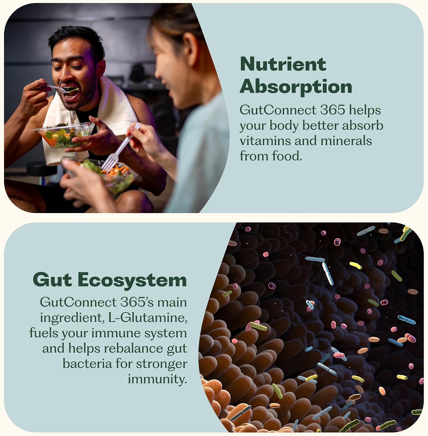 Nature M.D. GutConnect 365 – Chocolate Coconut