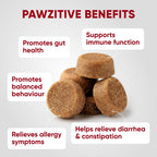 Probióticos para Perros - Masticables Digestivos con Enzimas de Pawzitive Pets