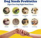 YoYoBay Probióticos para Perros - 180 Chews Blandos Sabor Salmón y Arándano - 6 Mil Millones de UFC con Prebióticos y Enzimas Digestivas