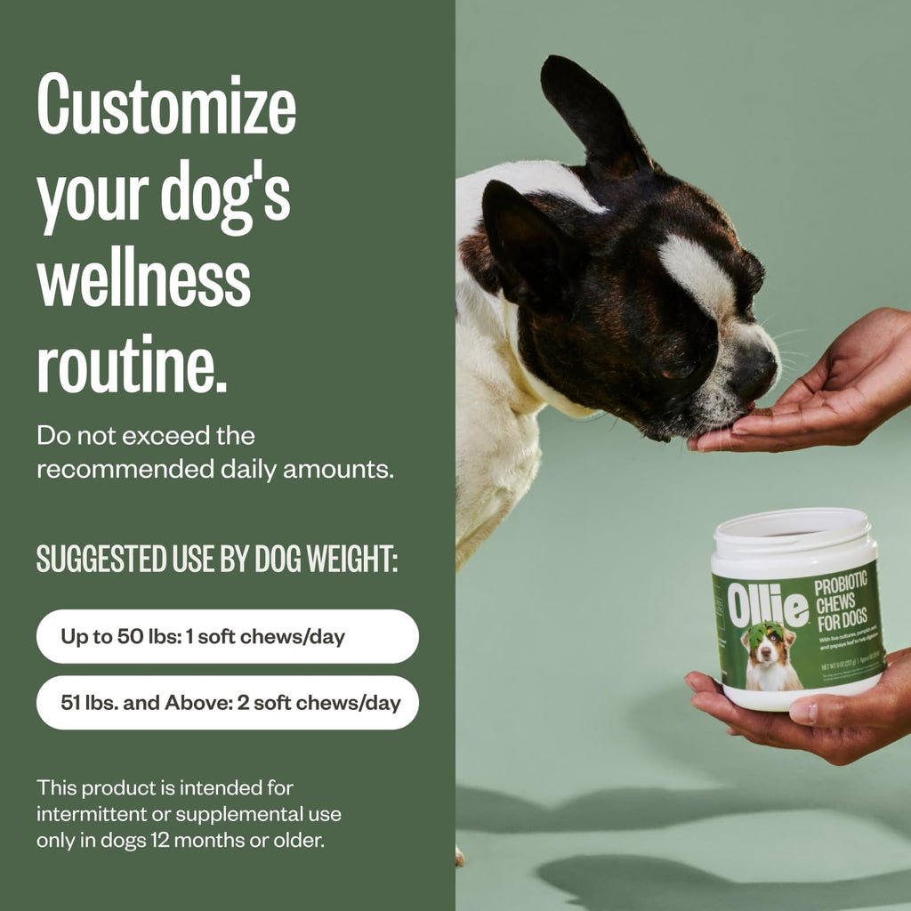 Ollie Belly Rubs - Probióticos para Perros - Salud Digestiva - Aprox. 60 Masticables