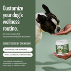 Ollie Belly Rubs - Probióticos para Perros - Salud Digestiva - Aprox. 60 Masticables