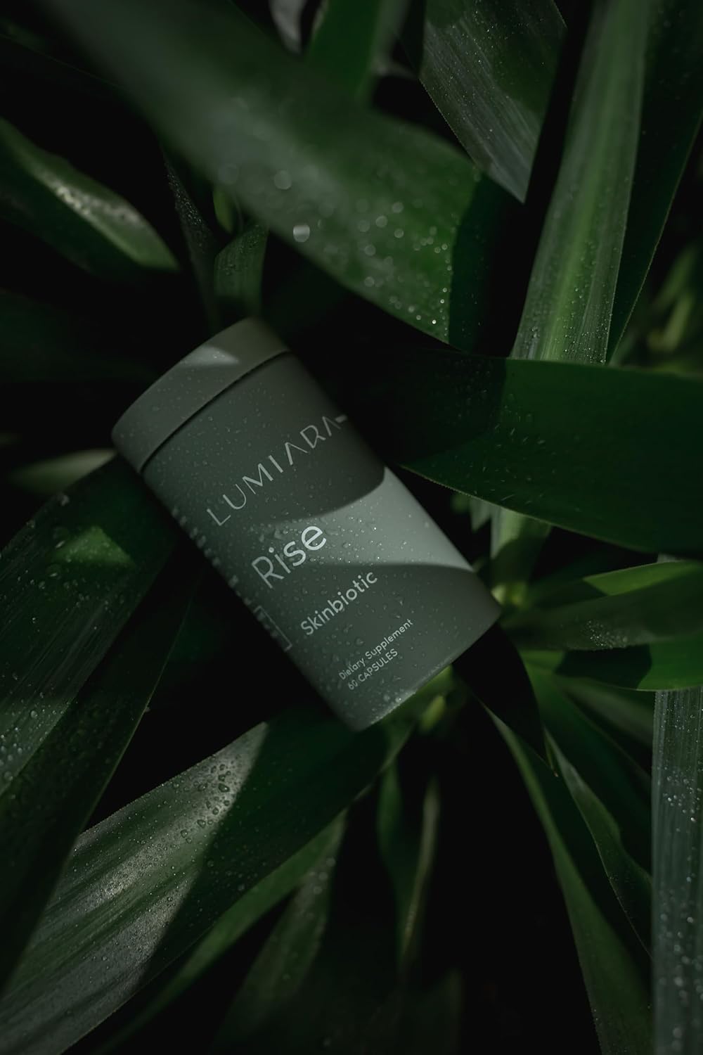 Lumiara Rise Skinbiotic - Suplemento para la piel y el intestino, potenciador de colágeno natural, 60 cápsulas