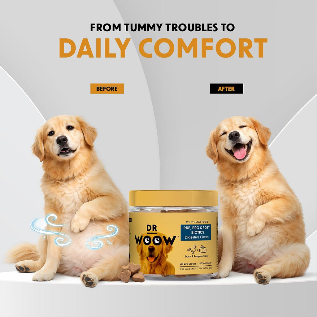 DR WOOW Probióticos para Perros – Masticables Suaves con Enzimas Digestivas – Sabor Pato y Calabaza – 90 Unidades