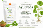 YOGIS HERBS Vallarai en polvo - Centella Asiatica (Gotu Kola) - Tradición Ayurvédica