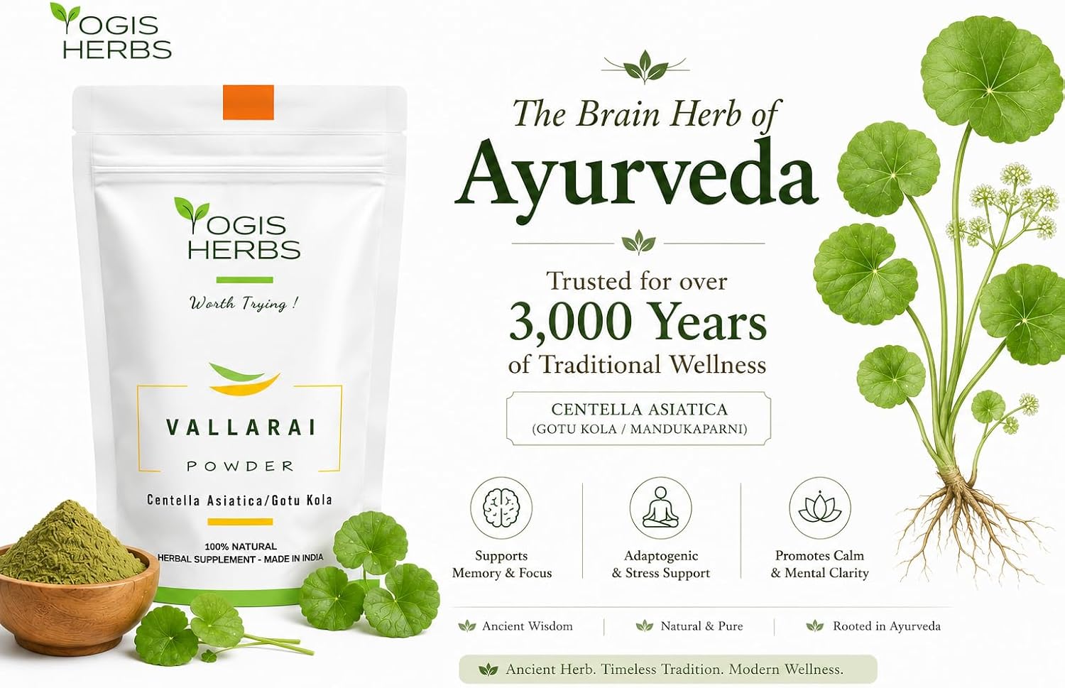 YOGIS HERBS Vallarai en polvo - Centella Asiatica (Gotu Kola) - Tradición Ayurvédica