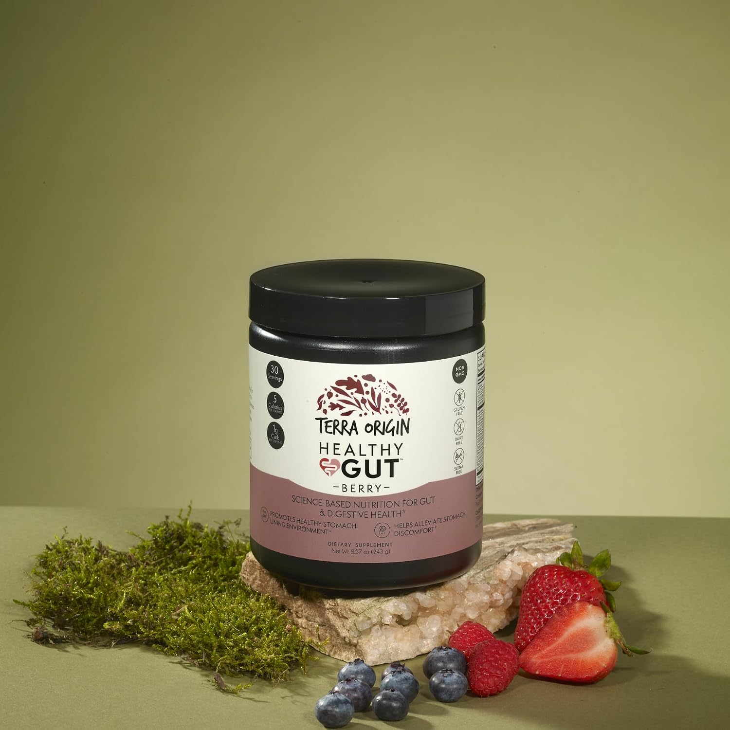 TERRA ORIGIN Healthy Gut Powder (Sabor Berry) - 30 Raciones