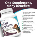 K9 Select HMR Lignans para Perros - 90 Comprimidos, 20mg - Extracto de Abeto Noruego - Sabor Mantequilla de Maní