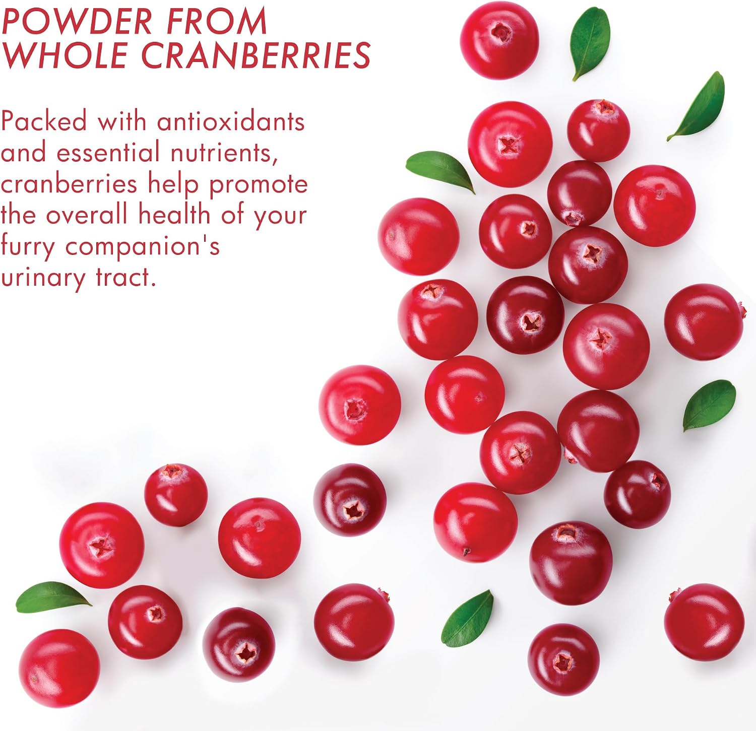Dermoscent UTI-Zen Cranberry Comprimidos para Perros y Gatos - Suplemento Alimenticio para la Salud de la Vejiga, Riñones y Tracto Urinario - Sabor a Pollo - 30 Comprimidos