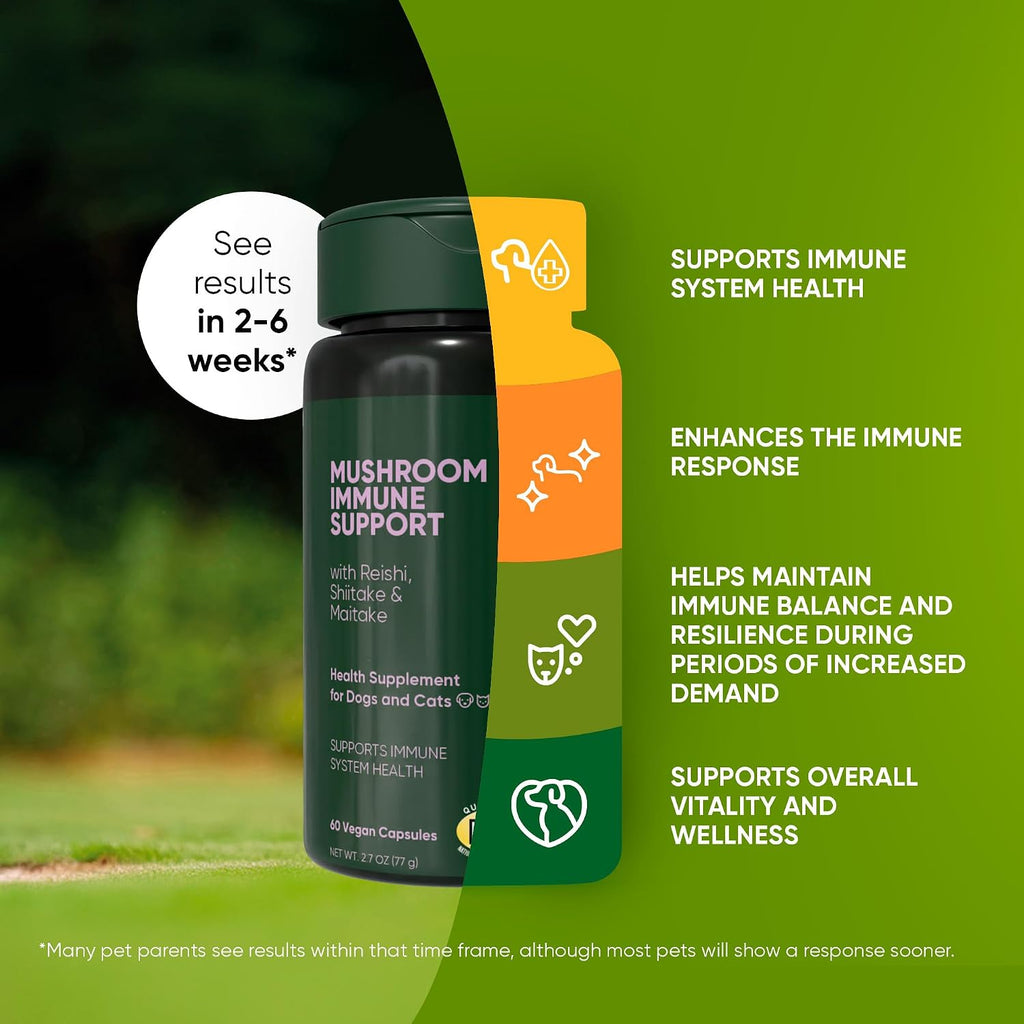 Rooted Owl® Suplemento de Hongos para Perros y Gatos - Apoyo Inmunológico - 60 Cápsulas