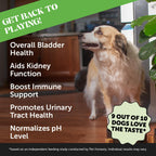 Suplemento de arándano para perros con D-Manosa y raíz de malvavisco - Apoyo urinario y renal - 90 masticables sabor bacon