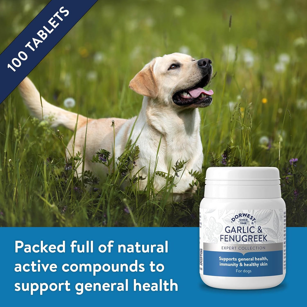 Dorwest Herbs Comprimidos de Ajo y Fenogreco para Perros y Gatos (100 comprimidos)