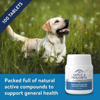 Dorwest Herbs Comprimidos de Ajo y Fenogreco para Perros y Gatos (100 comprimidos)