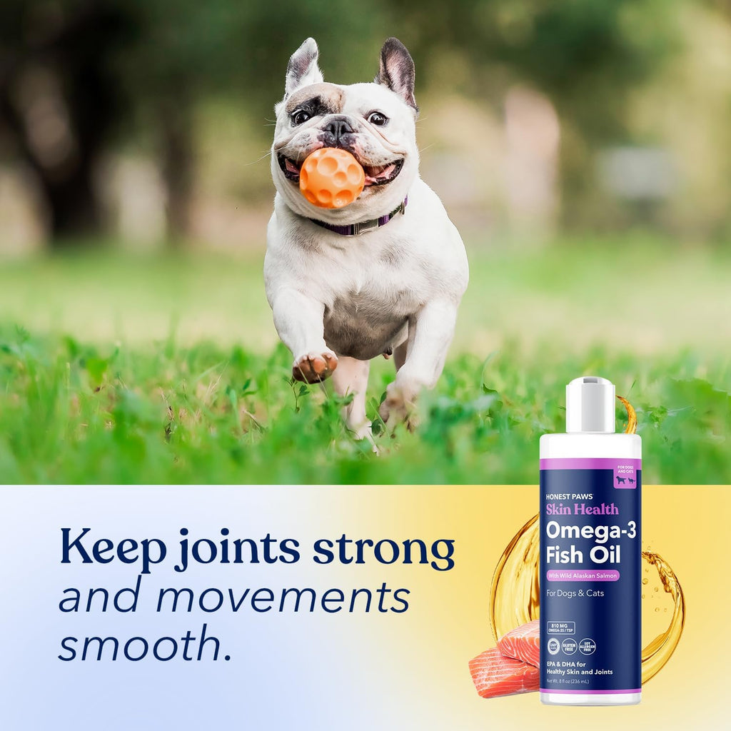Honest Paws Aceite de Salmón para Perros y Gatos – Suplemento de Omega 3 para la Piel, el Pelaje, las Articulaciones y la Salud Cardíaca – Fuente Natural y Sostenible de Salmón Salvaje de Alaska, 236 ml