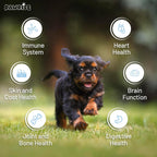 PawRise Multivitamínico Liofilizado para Perros - Probióticos, Glucosamina, Omega-3 - 200 Masticables
