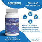 Stem Cell Células Madres - Suplemento Antiedad y Longevidad, 60 Cápsulas Vegetarianas