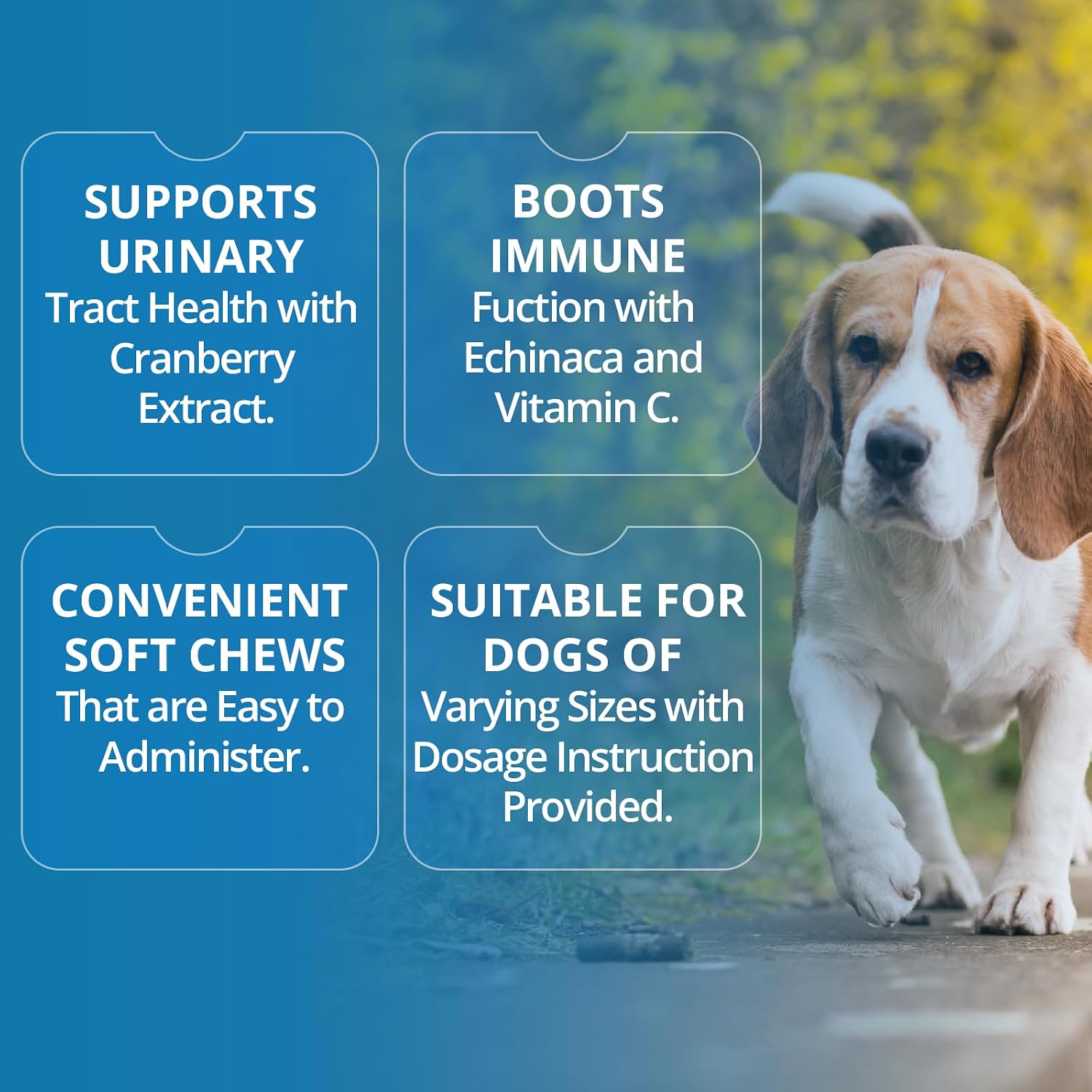 Replenish Urinary Tract Chews - Masticables para la salud urinaria de perros (60 unidades)