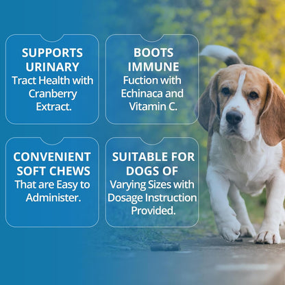 Replenish Urinary Tract Chews - Masticables para la salud urinaria de perros (60 unidades) – Image 4