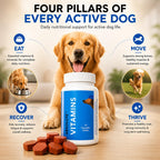 Drools Absolute Vitamin Tablet - Suplemento Multivitamínico para Perros, 110 Comprimidos