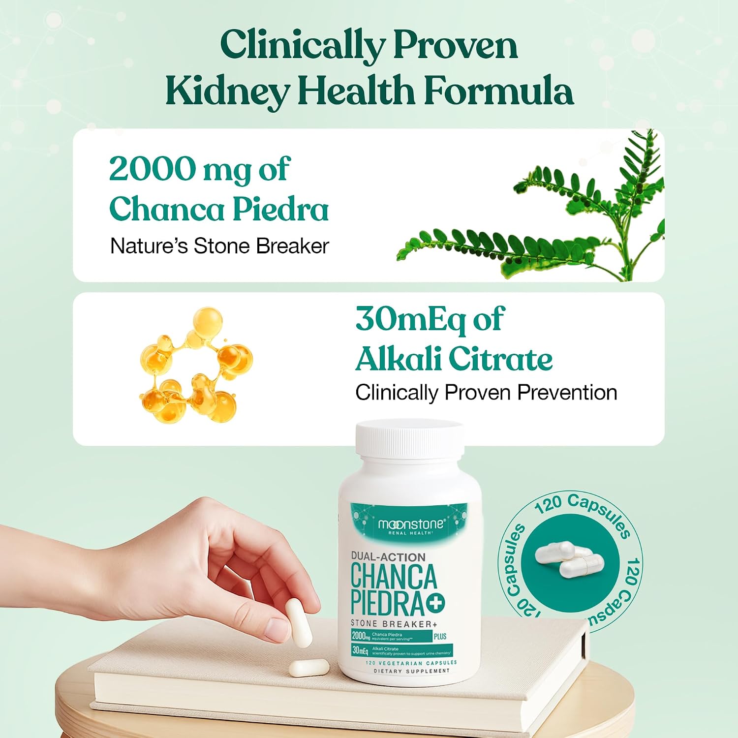 Chanca Piedra Stone Breaker - Complemento para el Apoyo Renal y Urinario (120 Cápsulas Veganas)