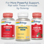 Solaray Inositol Puro en Polvo - 700 mg por Dosis - 4 oz (113 g) - 163 Porciones - Vegano y Verificado en Laboratorio