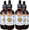 Hawaii Pharm Liquid Extract of Acerola (Malpighia Glabra) - 4x4 oz