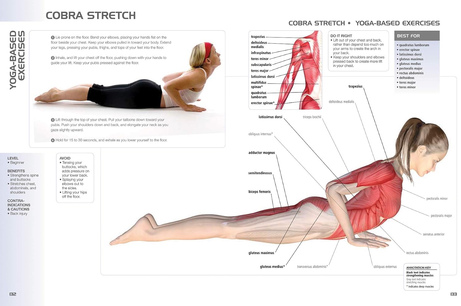 Anatomy of Exercise for 50+: Una guía del entrenador para mantenerse en forma después de los cincuenta