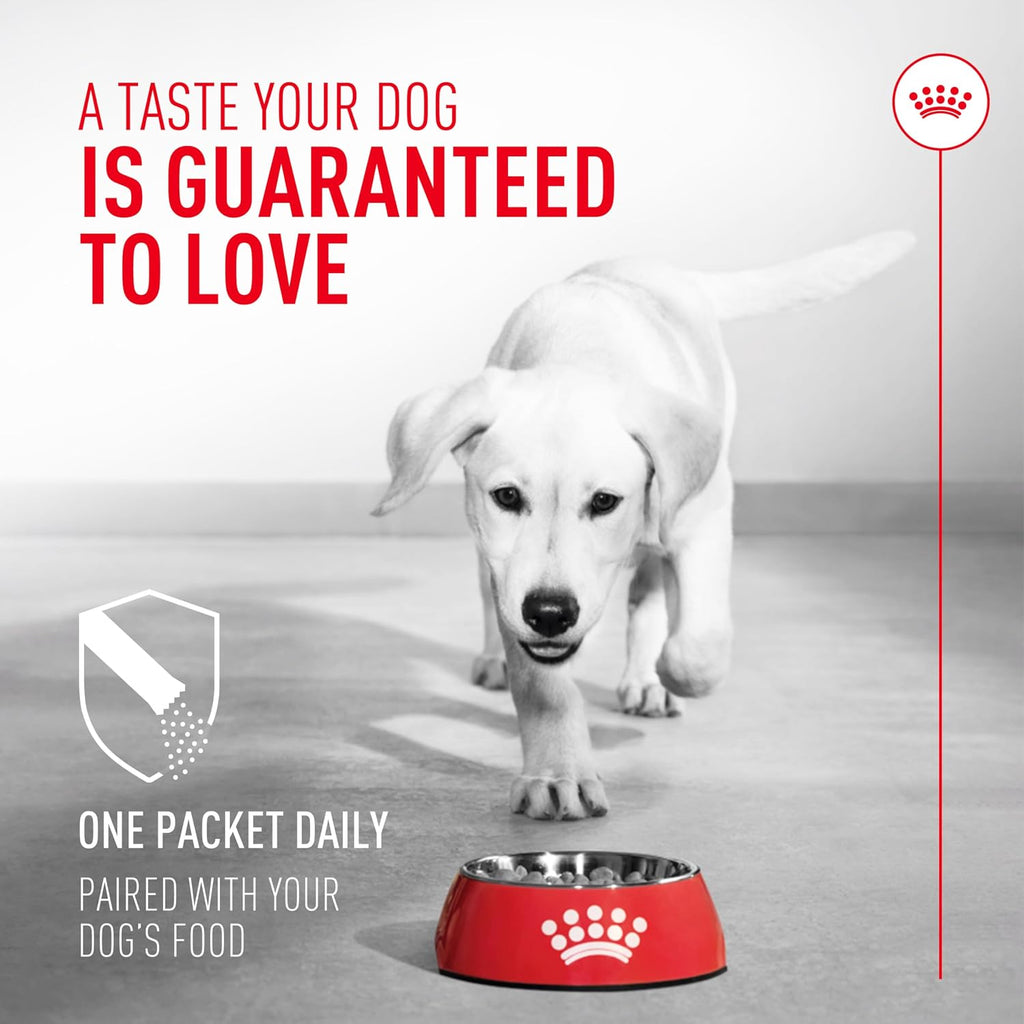 Royal Canin Probióticos para Perros, Salud Digestiva e Inmunitaria, Suplemento en Polvo para Perros de Todas las Edades, 7 Sobres