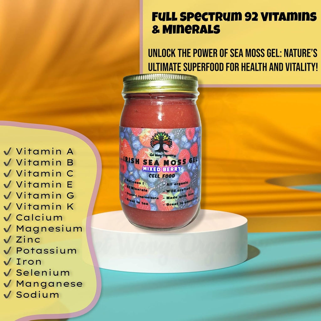 Gel de Musgo Marino Irlandés Silvestre | Rico en Vitaminas y Minerales | Pack de 1 | Sabor Arándanos