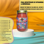Gel de Musgo Marino Irlandés Silvestre | Rico en Vitaminas y Minerales | Pack de 1 | Sabor Arándanos